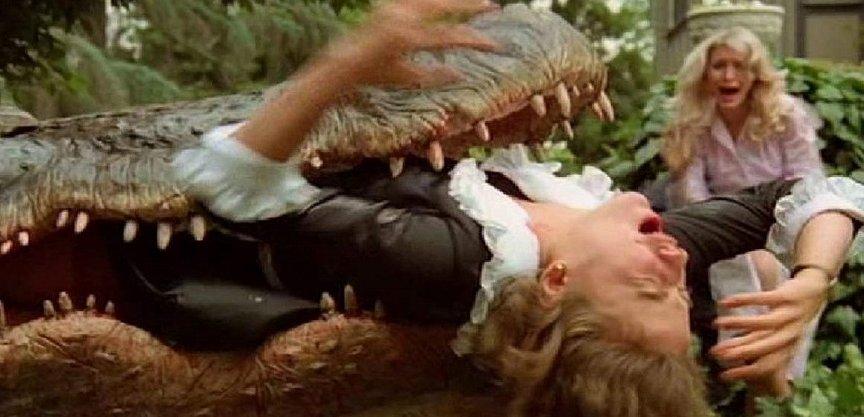 Alligator