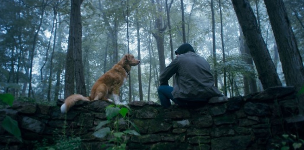 good boy