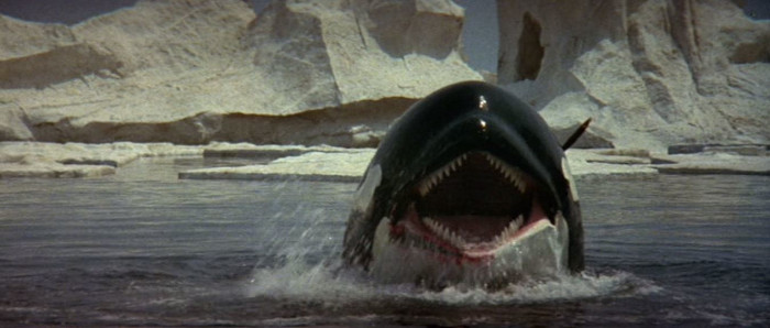 orca