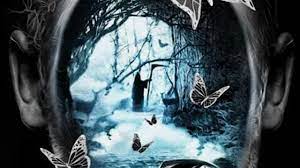 the bazaar of bad dreams