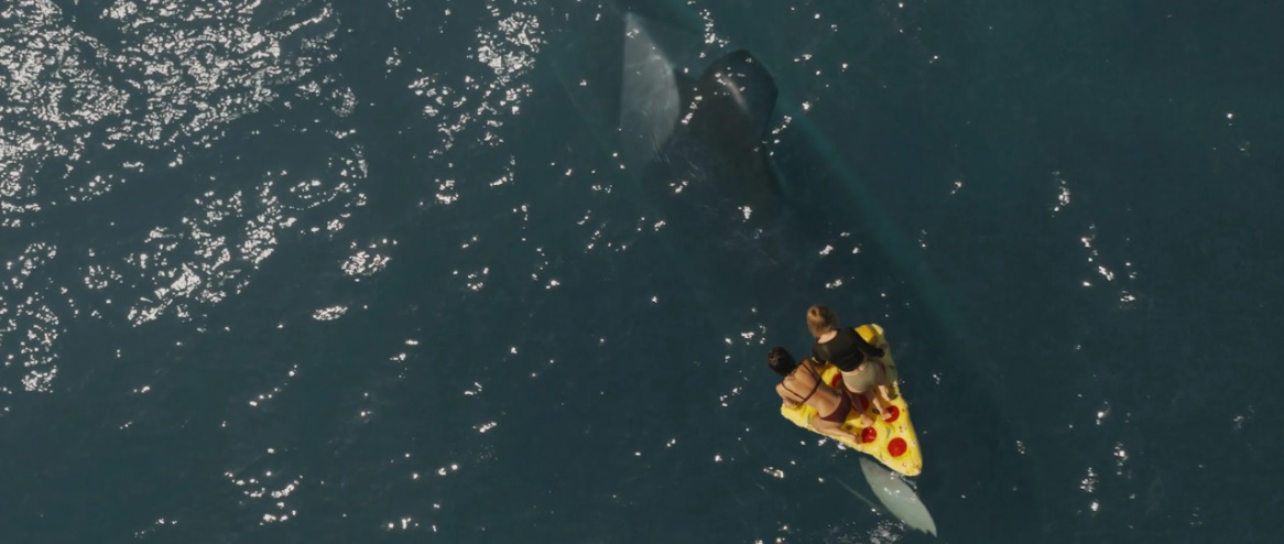 killer whale