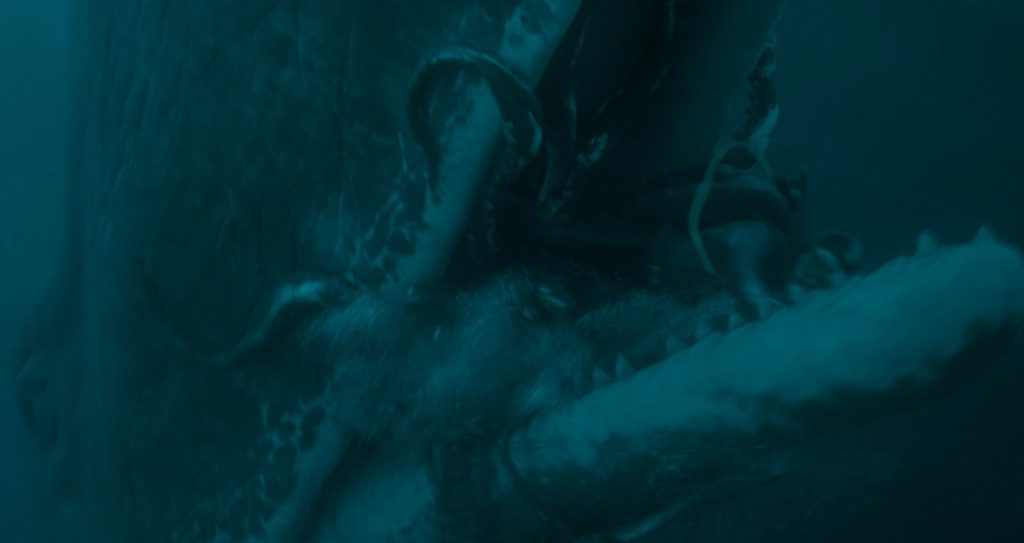 whalefall