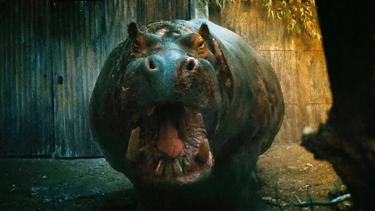 Hungry 2026 horror film featuring tourists trapped in the Louisiana swamps and hunted by a massive territorial hippopotamus.
