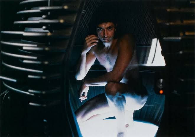 the fly