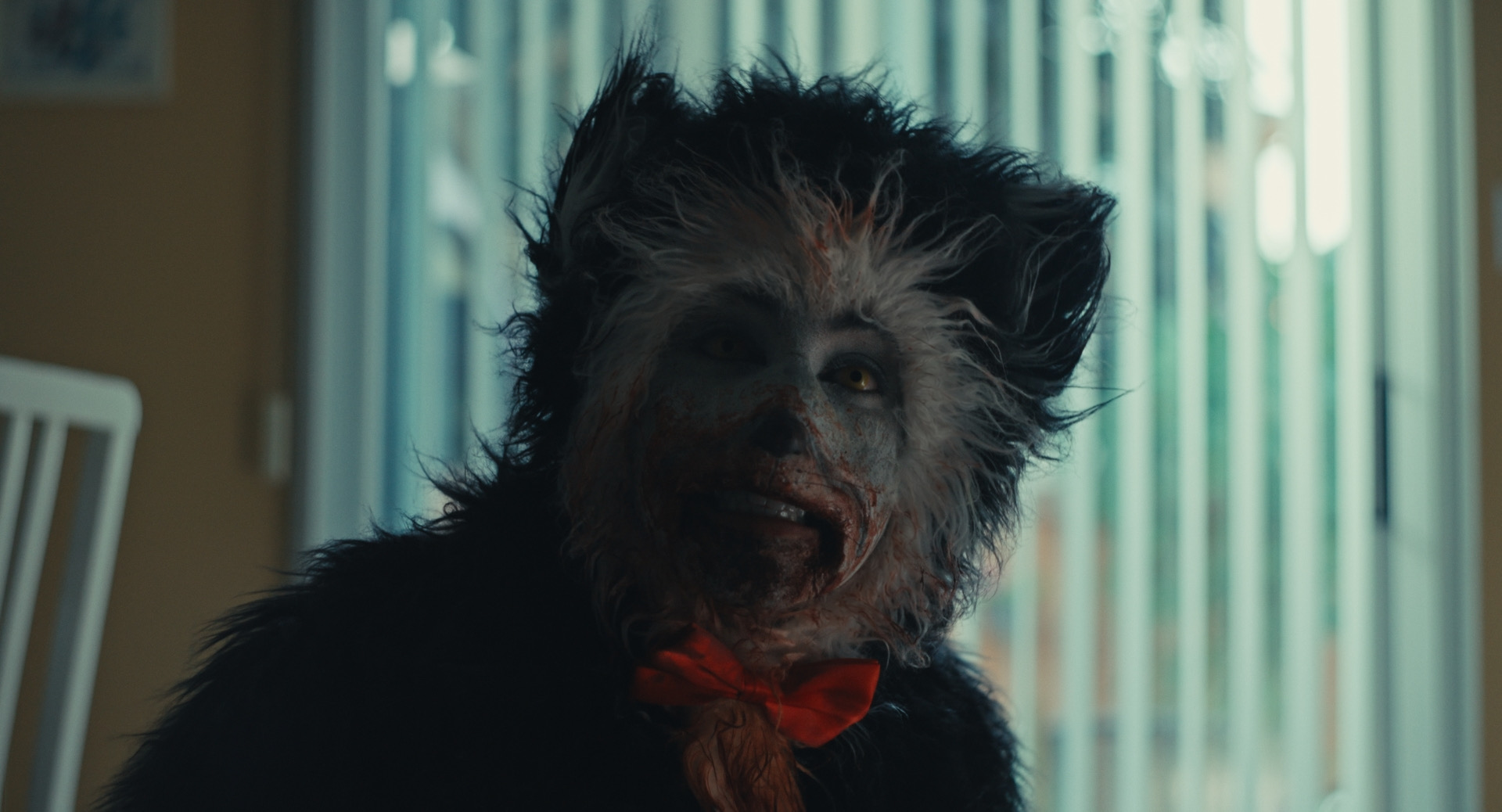 Scratches the Cat in first-look image from upcoming horror short The Cat and the Hatchet