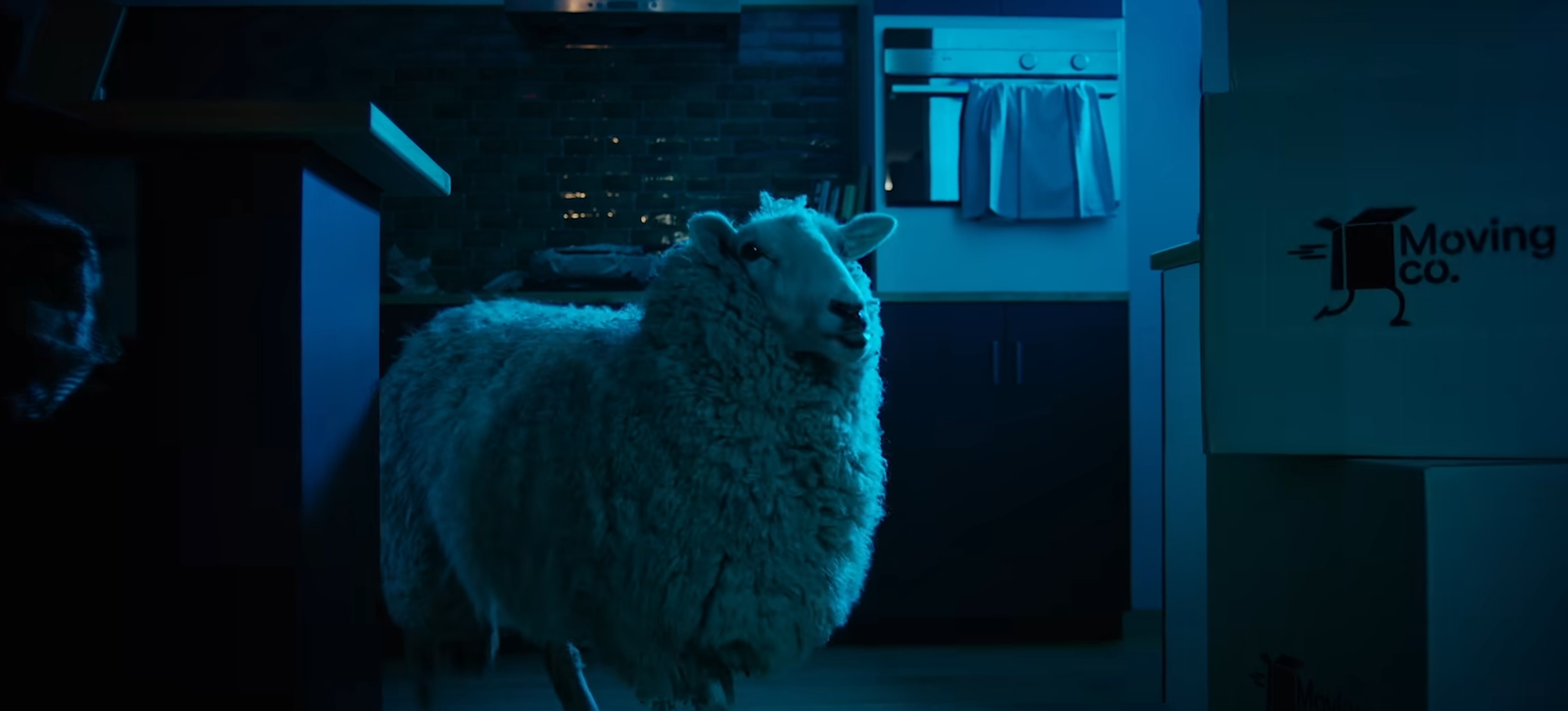 Black Sheeps 2026 horror comedy sequel featuring the return of New Zealand’s genetically modified killer sheep
